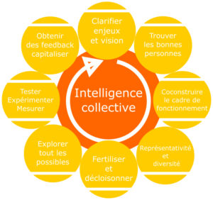 l'intelligence collective